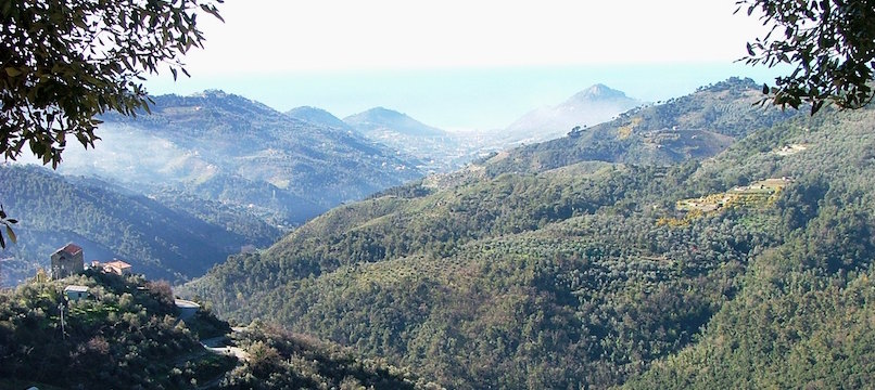 torri4